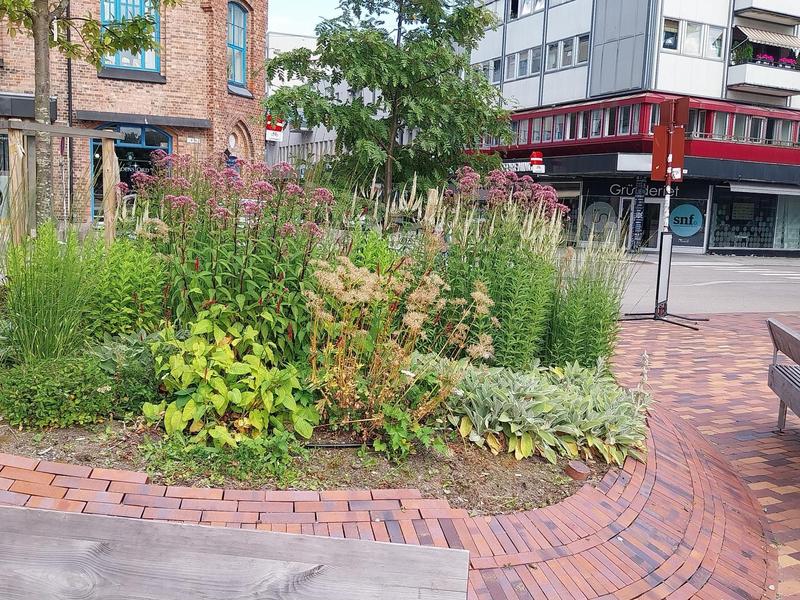 Aagaards Plass – til stor glede