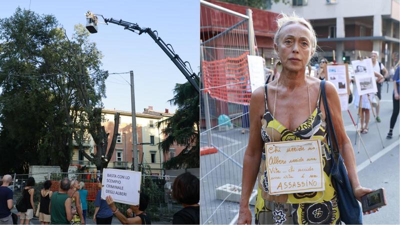 Albero bagolaro abbattuto per fare posto ai binari del tram: la protesta in piazza dell’Unità