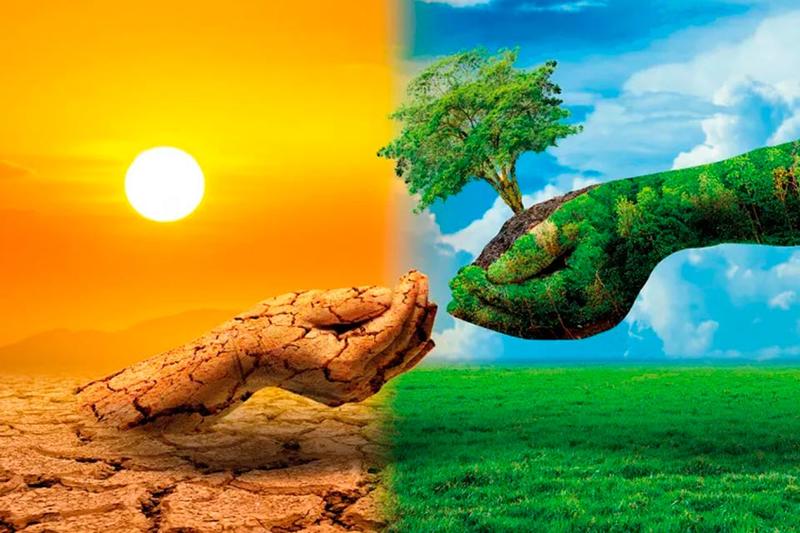 El rol del derecho internacional en la lucha contra el cambio climático, por Ana Barreira