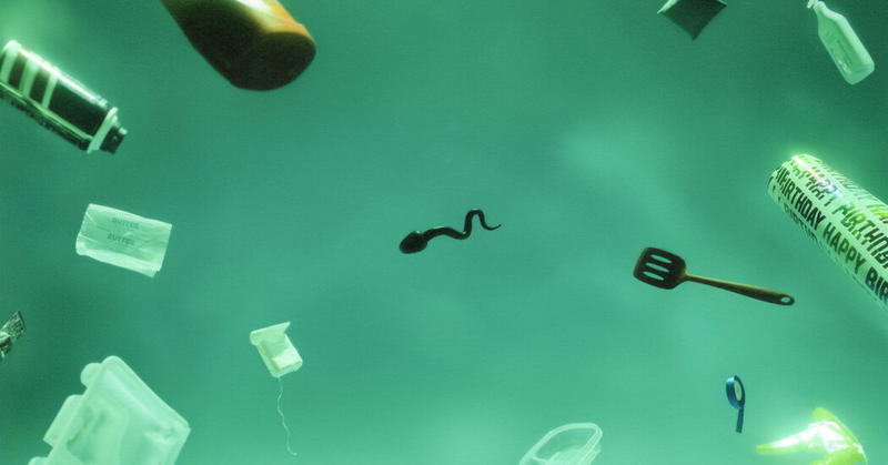 The Problem Is With Men’s Sperm