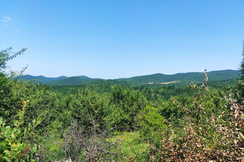 Rgajska bitka, spomenici i seobe (1)