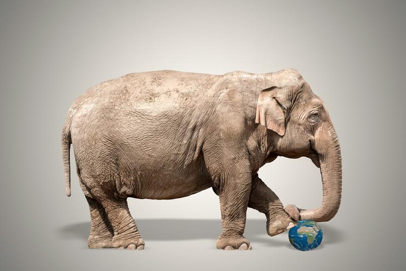 Vers la fin des puissances hégémoniques ? Comprendre les théories de la domination globale