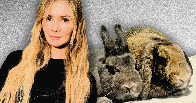 Anna Delvey and the Case of the Missing Bunnies