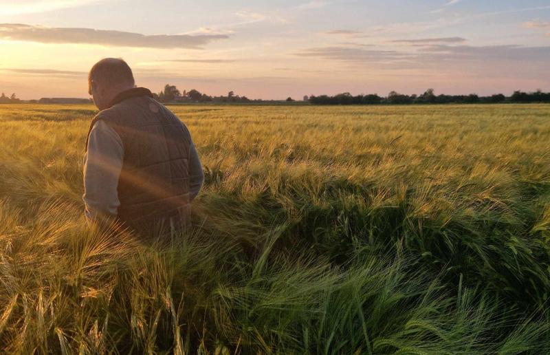 Family farmers say their way of life is an impossible dream when ‘the bread of life is worth less than rusty metal’