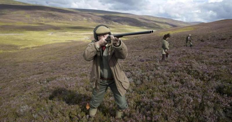 Scotland’s grouse moor licensing scheme is a farce