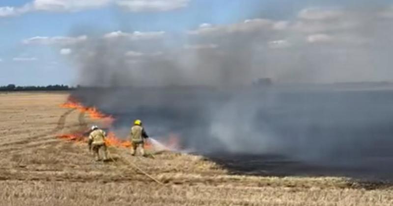 Large wildfire rips through farmer's field