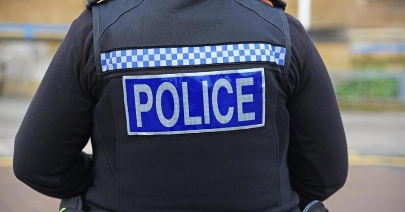 Nearly 200 cannabis plants found after police ram down door