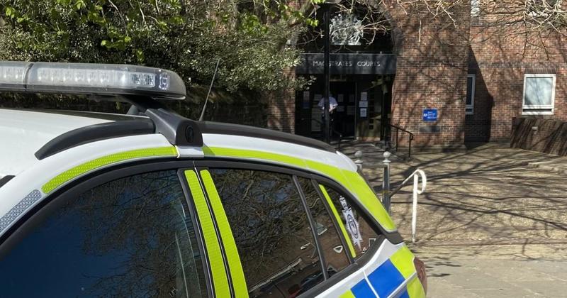 Woman denies sexually assaulting police dog handler