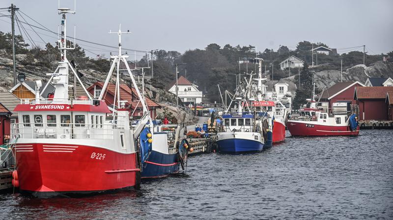 Bønder og fiskere sørger for at vi har mat på bordet. De burde bli applaudert