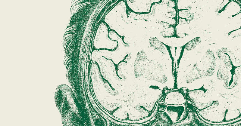 What A.I. Really Means for Learning