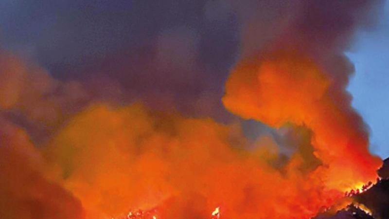 Incendi sul Vesuvio, indagano due Procure: nei primi due giorni distrutti 500 ettari di verde