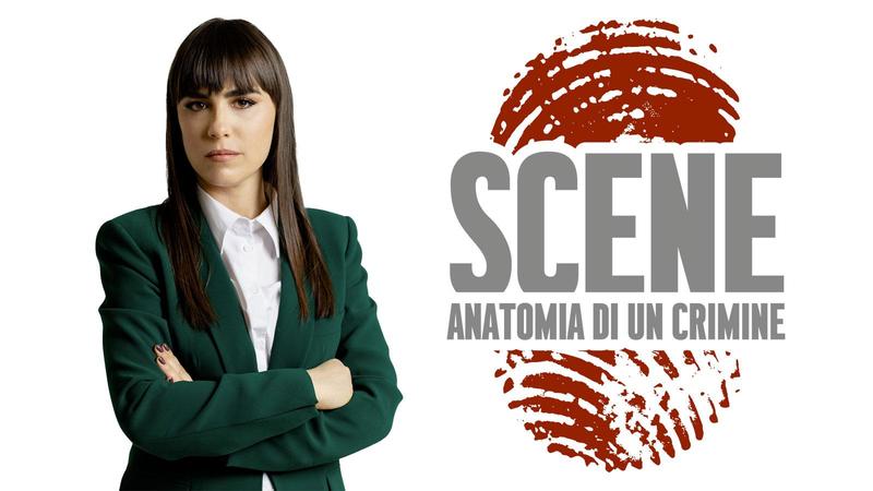 I falsi indizi su Garlasco, un castello di carte che non cambia il finale /