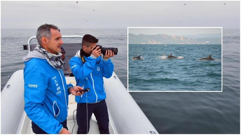 Incontri ravvicinati. Sulla scia dei pescherecci per catturare la ‘voce’ dei delfini dell’Adriatico / Video