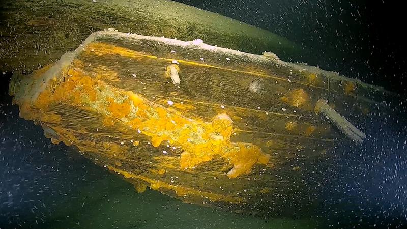 Sensation im Bodensee: Archäologen entdecken 31 Wracks