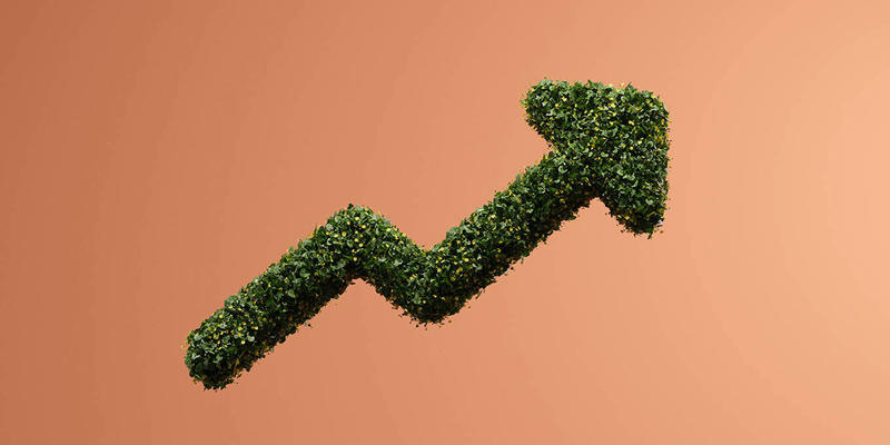 Climate Resilience Is a Strategic Investment