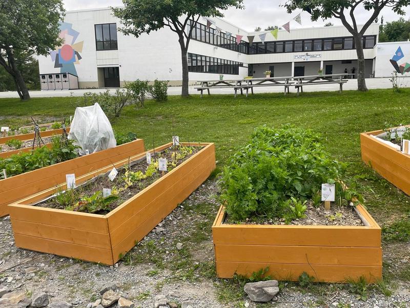Alstad lever – velkommen til skolestart