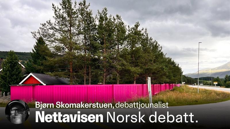 Skal de hyre inn en hjernekirurg utstyrt med Q-tips?