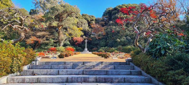 Cherry blossoms and eucalypts: this Japanese war cemetery remembers fallen Australians