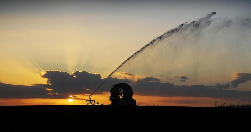 Policymakers must learn from 'nationally significant' drought, warn farmers