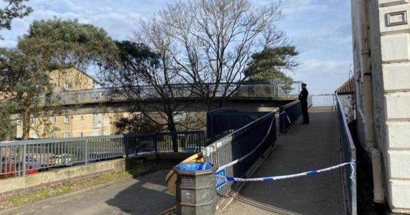 Retired artist in Grapes Hill bridge tragedy died by suicide, court told