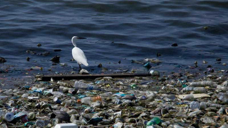 Die Plastiklobby gewinnt, die ganze Welt verliert