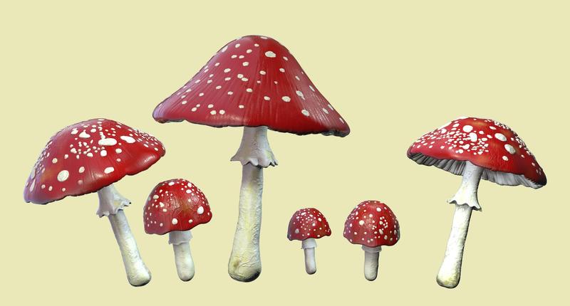 The growing fad of ‘microdosing’ mushrooms is leading to an uptick in poison control center calls and emergency room visits
