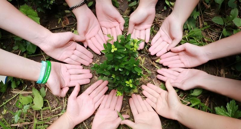 Renegotiating the Global Climate Contract