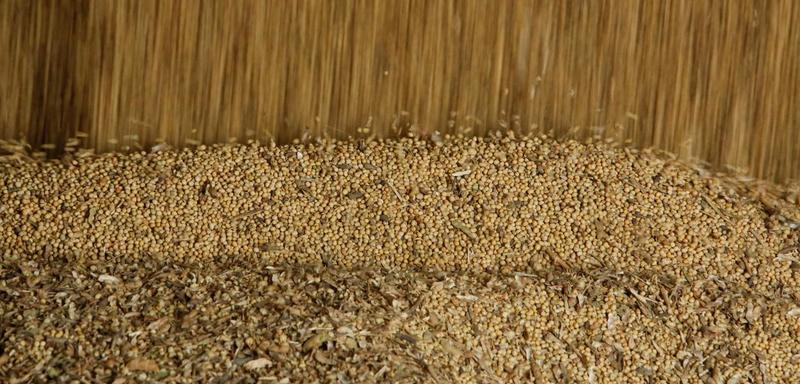Brasil terá supersafra de grãos, mas armazenagem é problema