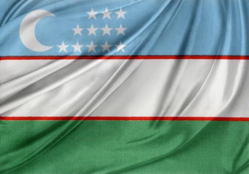 Will WTO Membership Make Doing Business in Uzbekistan Any Easier?