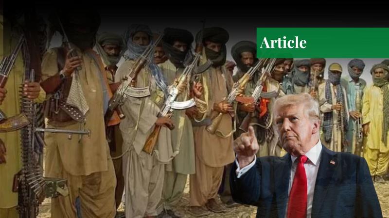 US Declares BLA & Majeed Brigade Terrorist Organizations: A Diplomatic Victory for Pakistan