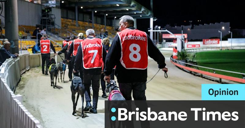 Dog racing is on its last legs … and here’s another hammer blow
