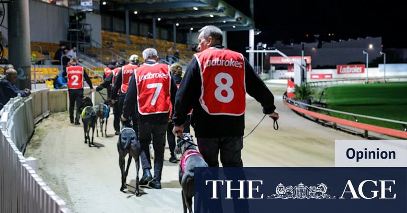 Dog racing is on its last legs … and here’s another hammer blow
