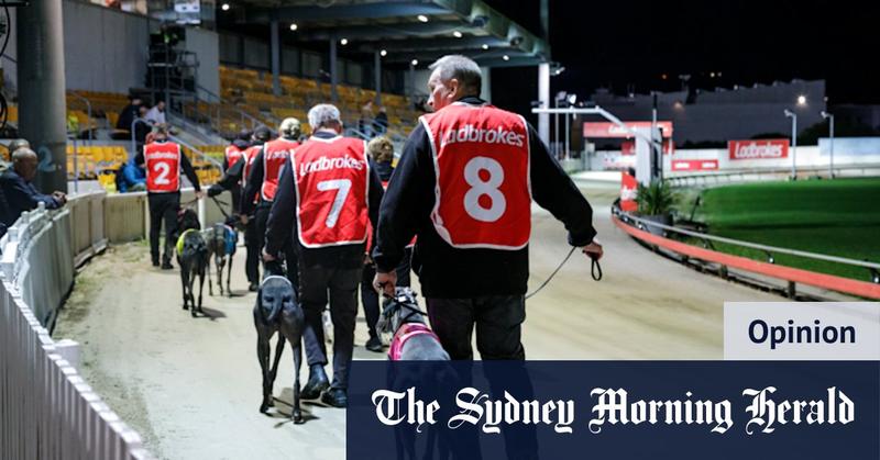Dog racing is on its last legs … and here’s another hammer blow