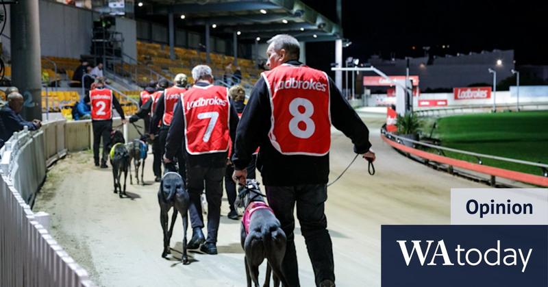 Dog racing is on its last legs … and here’s another hammer blow