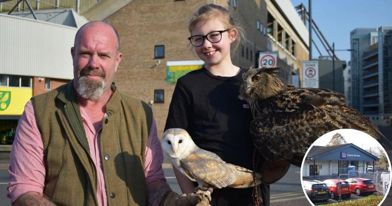 Free event with fine-feathered birds being held at former city supermarket