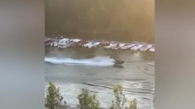 Vozač skutera tereti se za pokušaj ubistva, iz bolnice kažu da su deca prošla s lakšim povredama