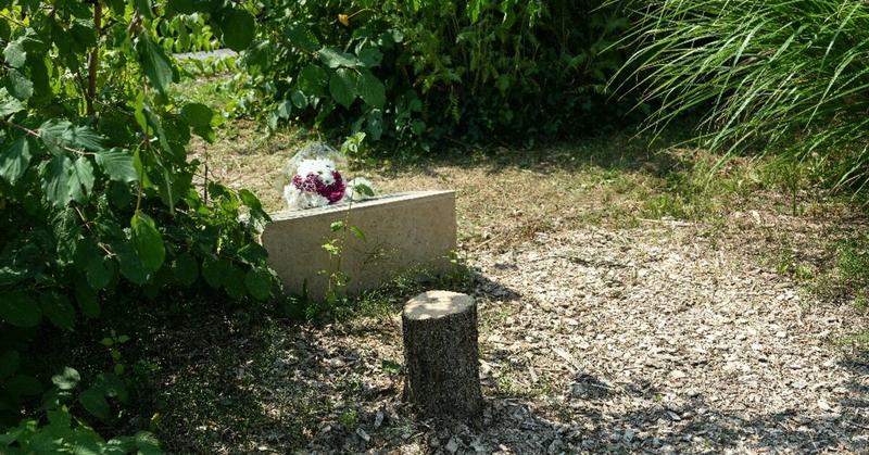 Macron vows to punish antisemitic 'hatred' after memorial tree cut down