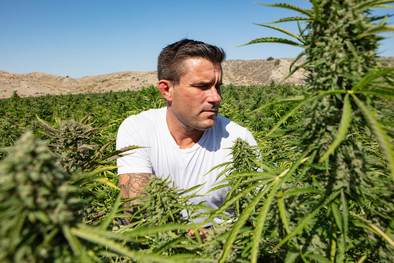 The man behind California's brand new $15M weed ranch