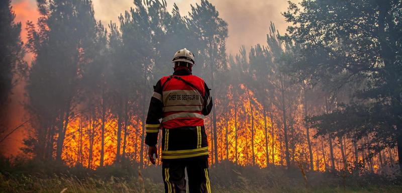 Europa está pegando fogo, com calor extremo, seca e incêndios violentos