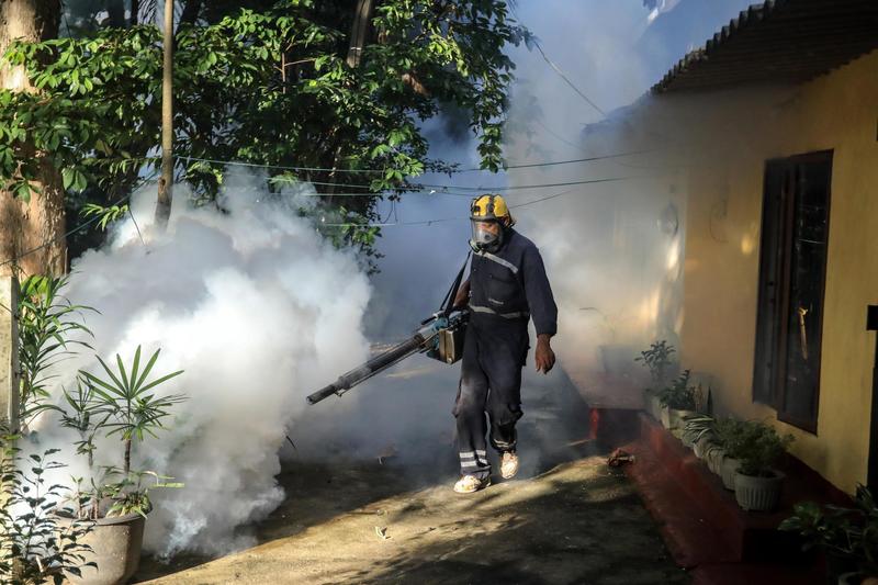 Dengue, un caso a Osimo: via alla disinfestazione, dove e quando