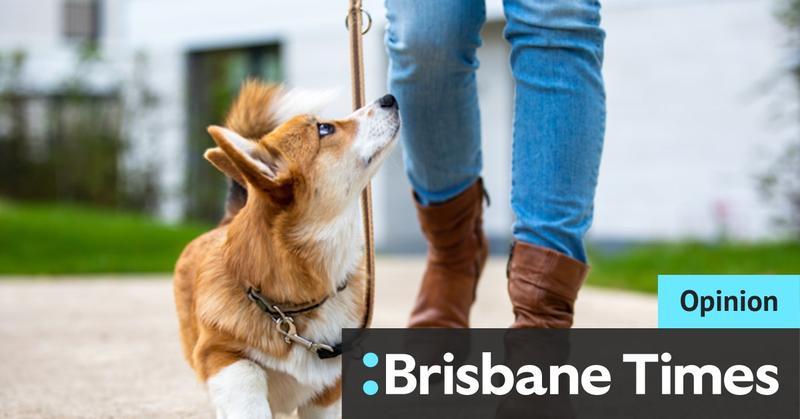 When it comes to teaching dogs or humans, patience is key