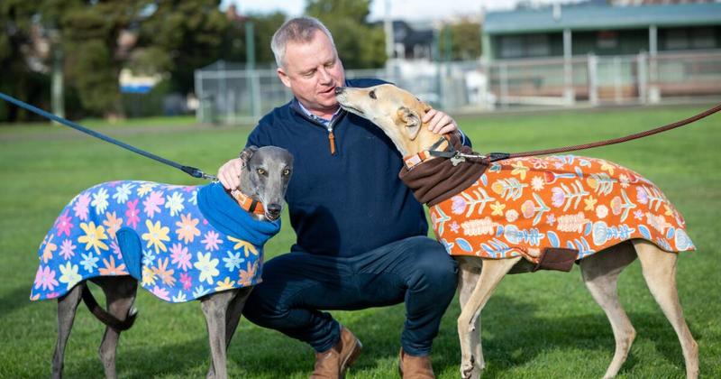Greyhound Racing's last lap: No more doggy treats from the public purse