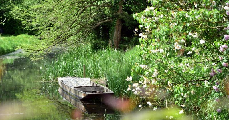 Norfolk river to be 'rewiggled' after 70 years