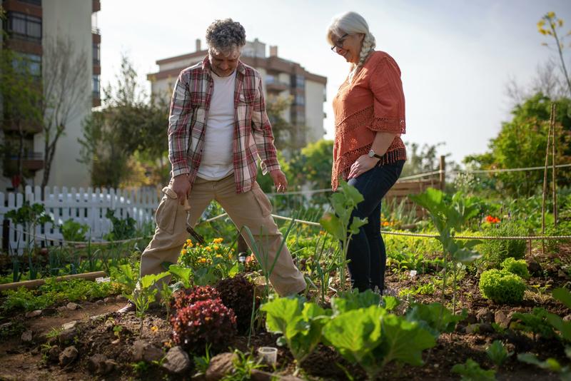 “Orti di Puglia”, il Comune cerca partner con cui progettare e gestire aree verdi