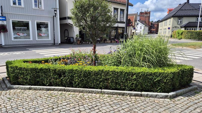 Min kjære by Sandefjord – en rusletur gjennom minner, forandringer og dagens tilstand.
