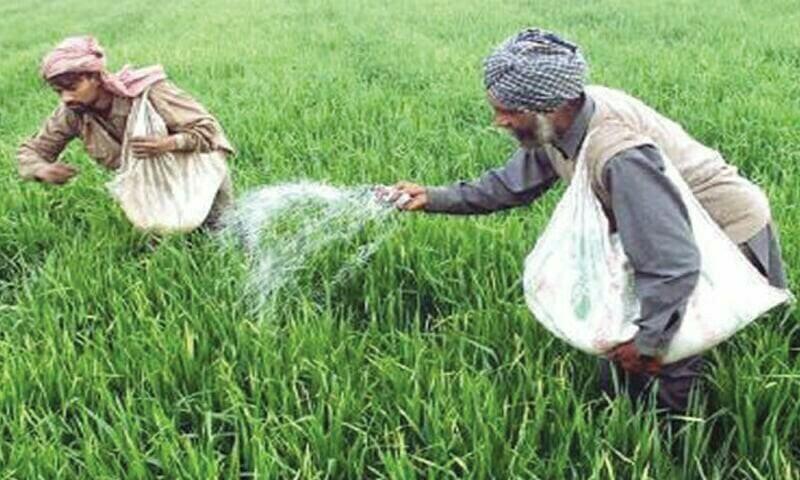 Govt pledges uninterrupted fertiliser supply for Kharif season