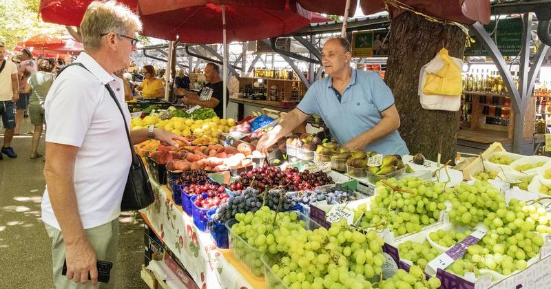 Brojke su zapanjujuće, kila ide i do osam eura: Uvoz omiljenog voća 1200 posto je veći od proizvodnje