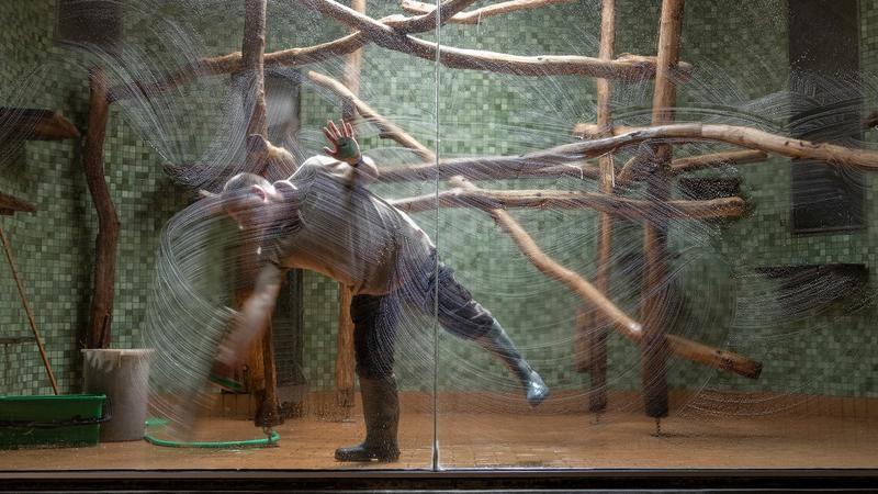 Gehege | Schafft die Zoos endlich ab!