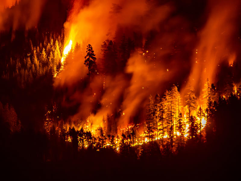 Blame Canada: How Trump can help us from being smoked out of our summer