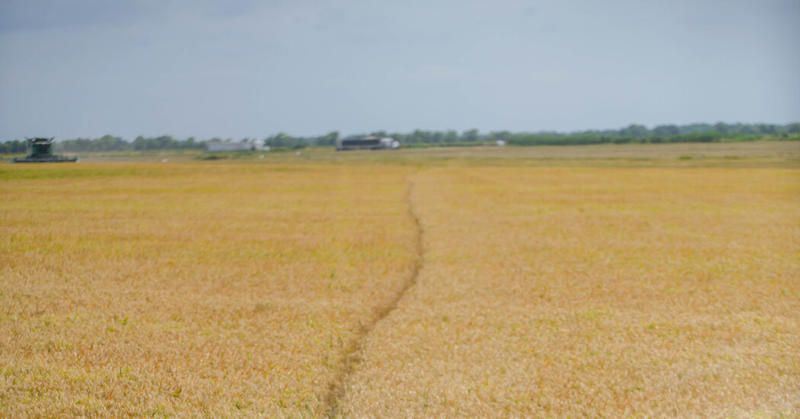 Farmers Are Turning on MAHA
